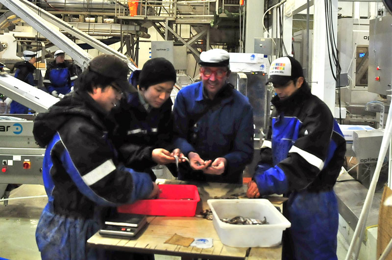 Scandinavie, Norvge, Sude, Finlande